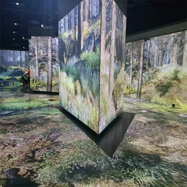 探索鳥類王國，看創(chuàng)意光影下的飛羽之美